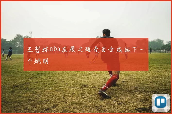 王哲林nba发展之路是否会成就下一个姚明