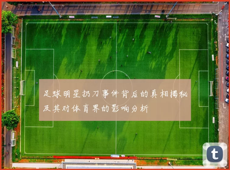 足球明星扔刀事件背后的真相揭秘及其对体育界的影响分析