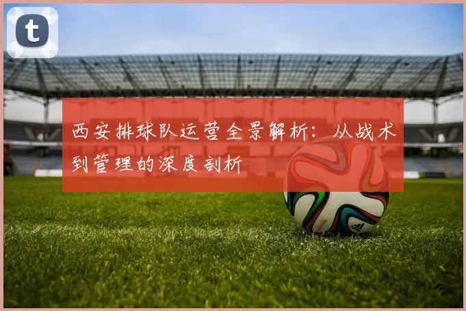 西安排球队运营全景解析：从战术到管理的深度剖析