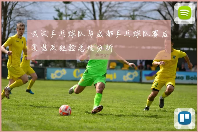 武汉乒乓球队与成都乒乓球队赛后复盘及经验总结分析