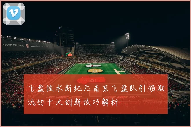 飞盘技术新纪元南京飞盘队引领潮流的十大创新技巧解析