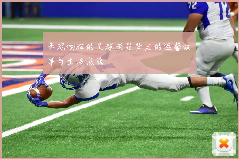 养宠物猫的足球明星背后的温馨故事与生活点滴