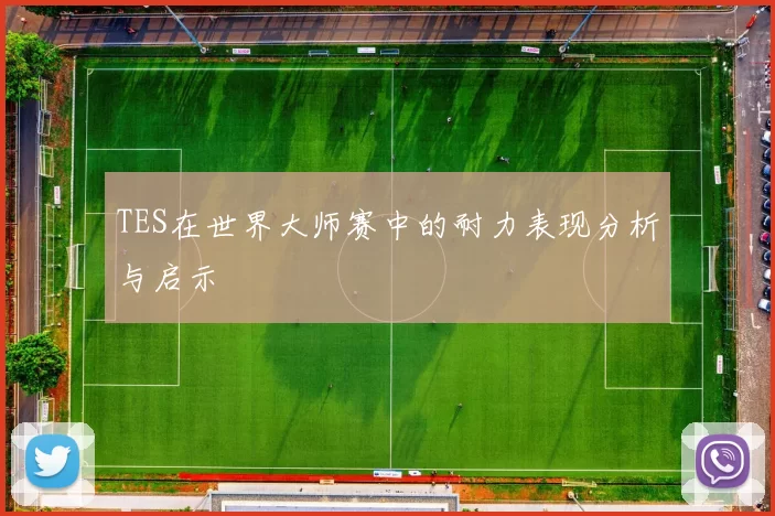 TES在世界大师赛中的耐力表现分析与启示