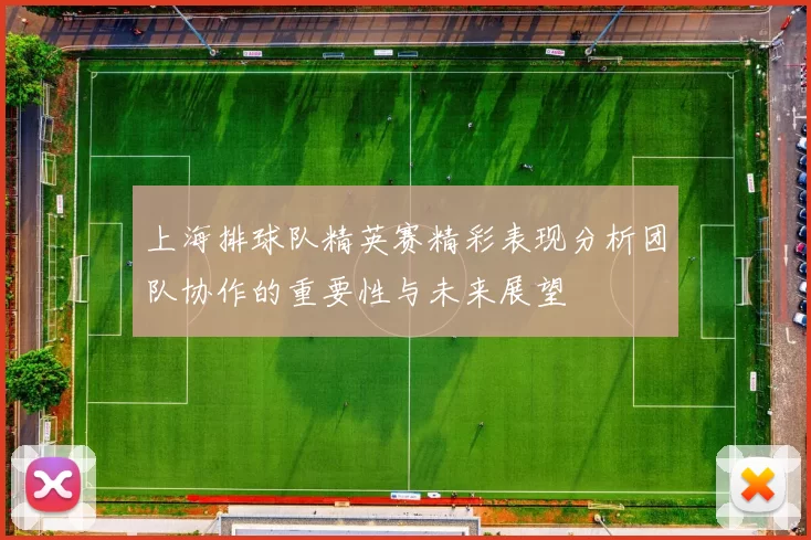上海排球队精英赛精彩表现分析团队协作的重要性与未来展望