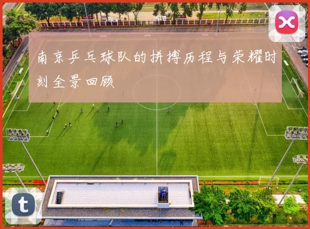南京乒乓球队的拼搏历程与荣耀时刻全景回顾