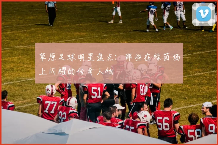 草原足球明星盘点：那些在绿茵场上闪耀的传奇人物