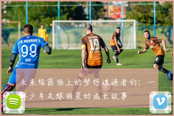 未来绿茵场上的梦想追逐者们：一群少年足球明星的成长故事