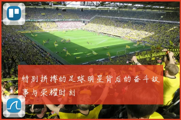 特别拼搏的足球明星背后的奋斗故事与荣耀时刻