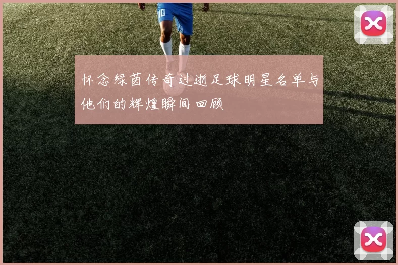 怀念绿茵传奇过逝足球明星名单与他们的辉煌瞬间回顾
