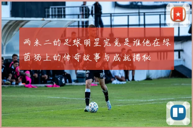 两米二的足球明星究竟是谁他在绿茵场上的传奇故事与成就揭秘