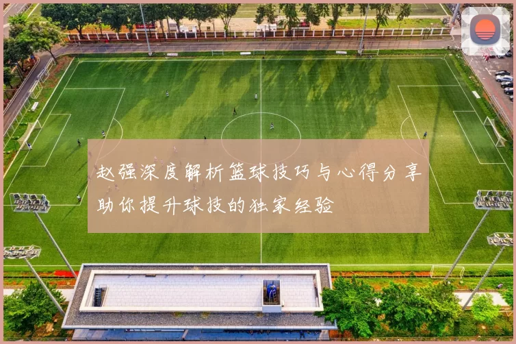 赵强深度解析篮球技巧与心得分享助你提升球技的独家经验