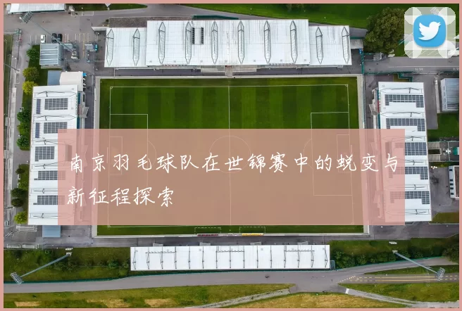 南京羽毛球队在世锦赛中的蜕变与新征程探索