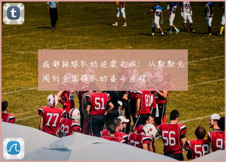 成都排球队的逆袭之旅：从默默无闻到全国强队的奋斗历程