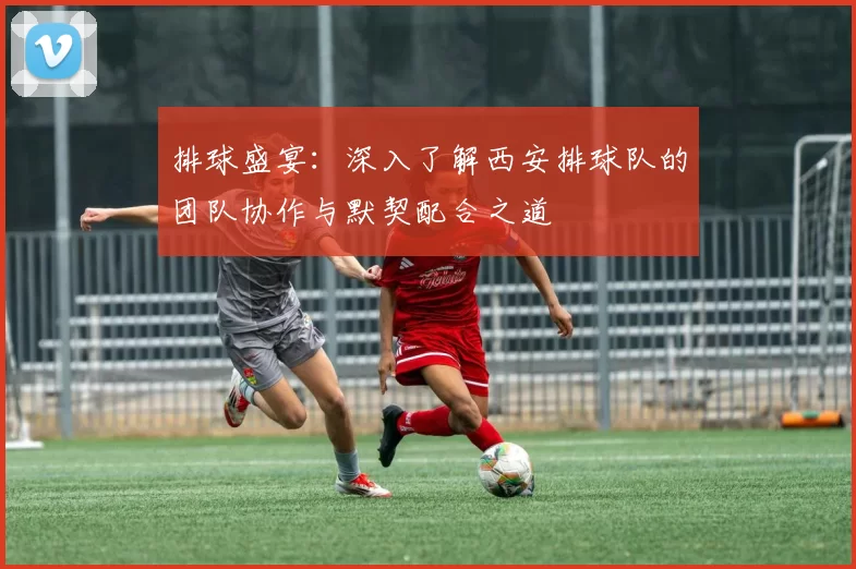 排球盛宴：深入了解西安排球队的团队协作与默契配合之道