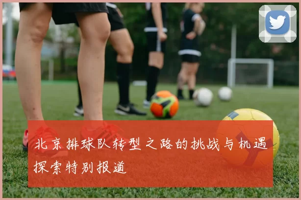 北京排球队转型之路的挑战与机遇探索特别报道