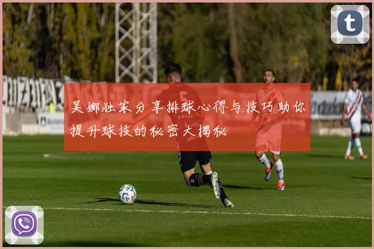 吴娜独家分享排球心得与技巧助你提升球技的秘密大揭秘