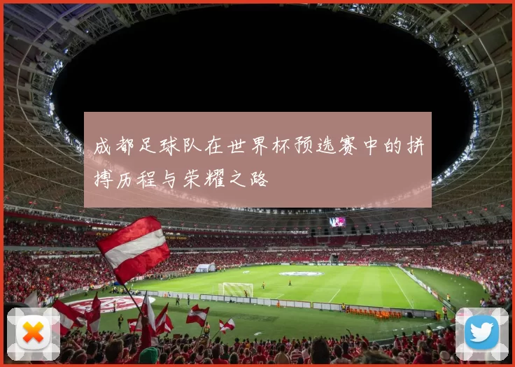 成都足球队在世界杯预选赛中的拼搏历程与荣耀之路
