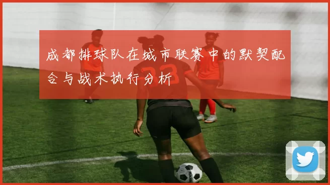 成都排球队在城市联赛中的默契配合与战术执行分析